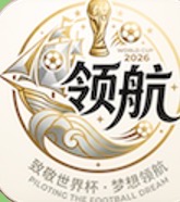领航国际